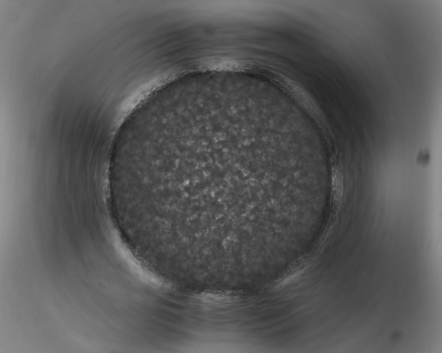 X0000116480725200912231130