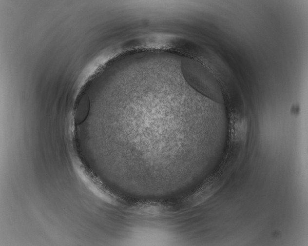 X0000116480726200912231130