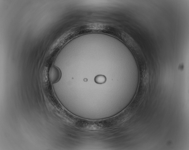 X0000116480731200912231130