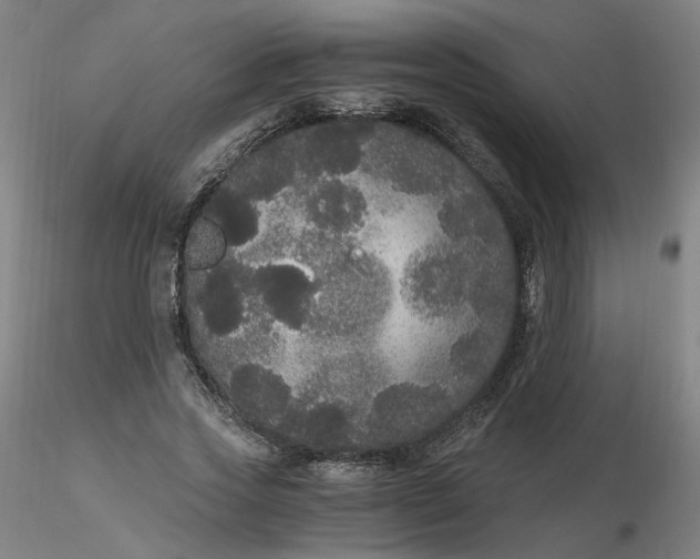 X0000116480733200912231130