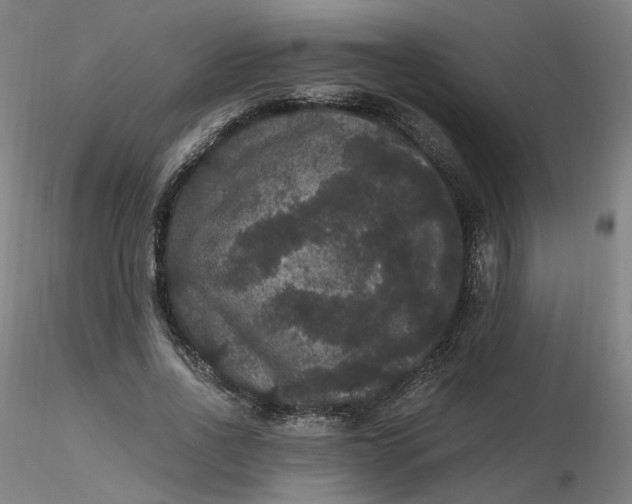 X0000116480734200912231130