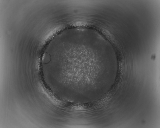 X0000116480735200912231130