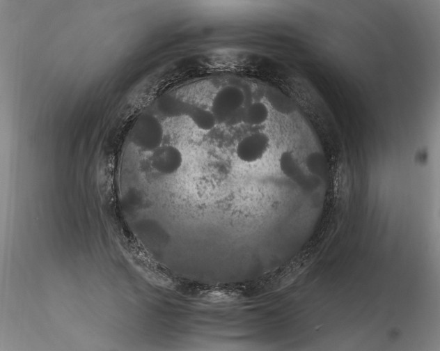 X0000116480737200912231130