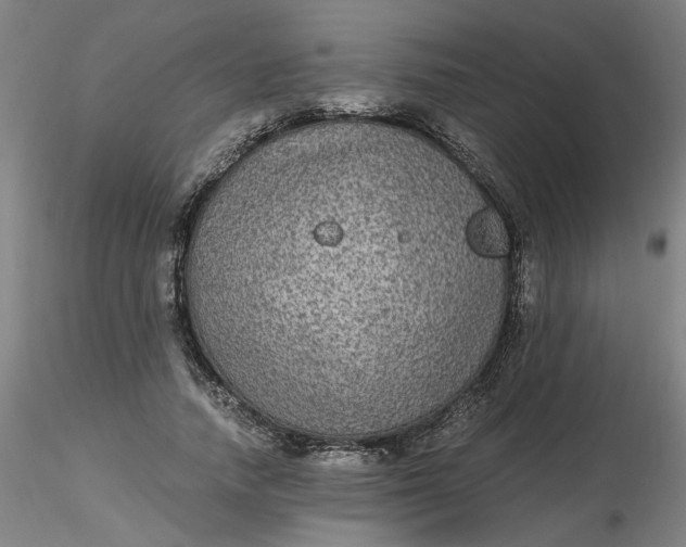 X0000116480738200912231130