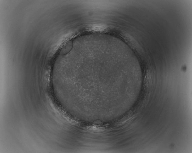 X0000116480739200912231130