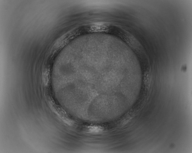 X0000116480741200912231130