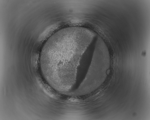 X0000116480742200912231130