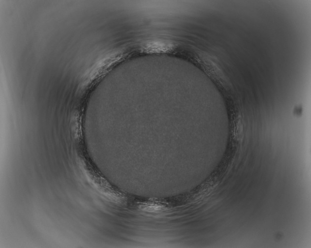 X0000116480743200912231130