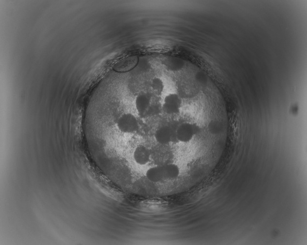 X0000116480745200912231130