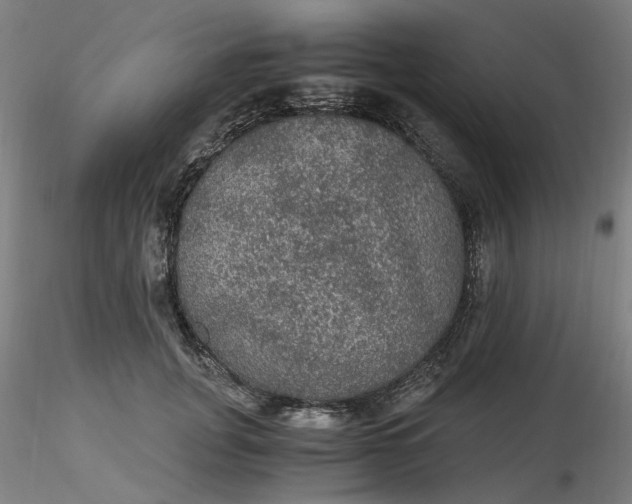 X0000116480751200912231130