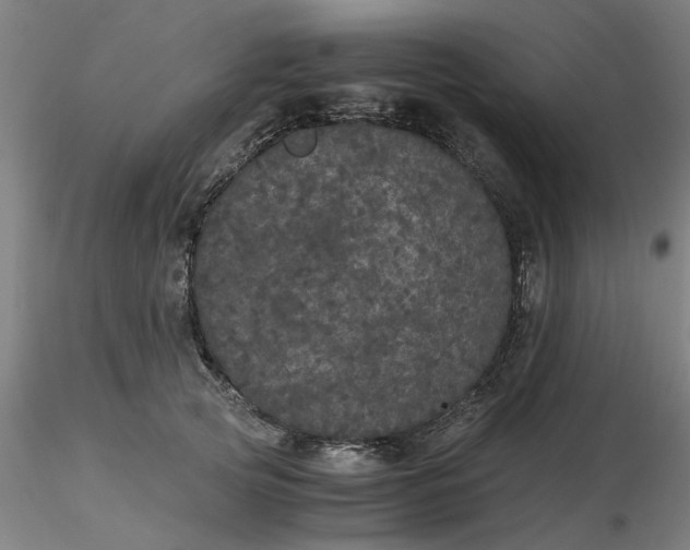 X0000116480753200912231130