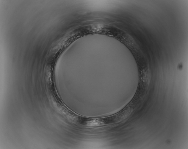 X0000116480754200912231130