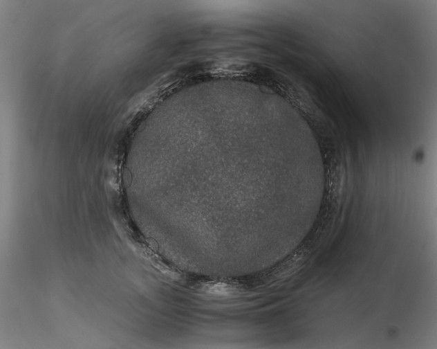 X0000116480755200912231130