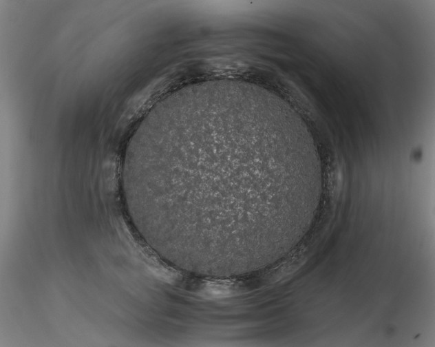 X0000116480757200912231130