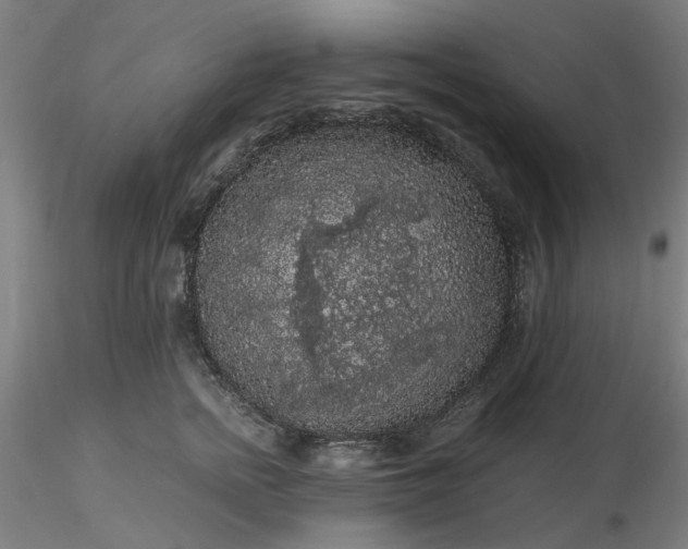 X0000116480758200912231130