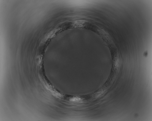 X0000116480759200912231130