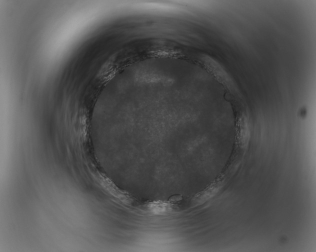 X0000116480762200912231130