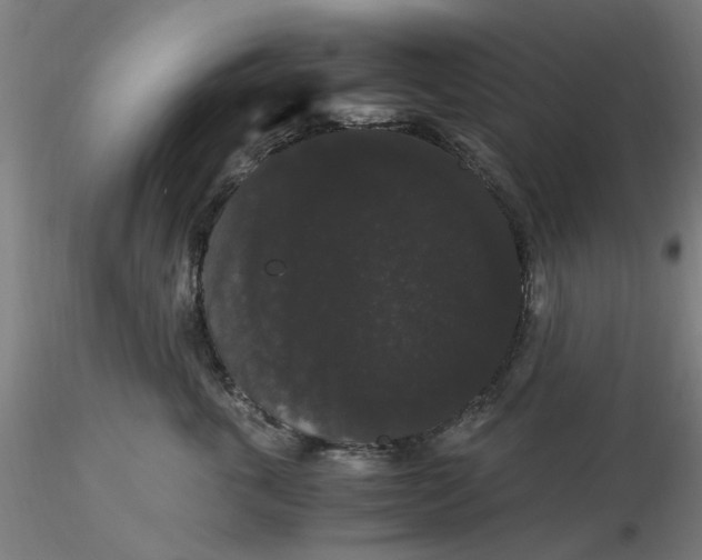 X0000116480763200912231130