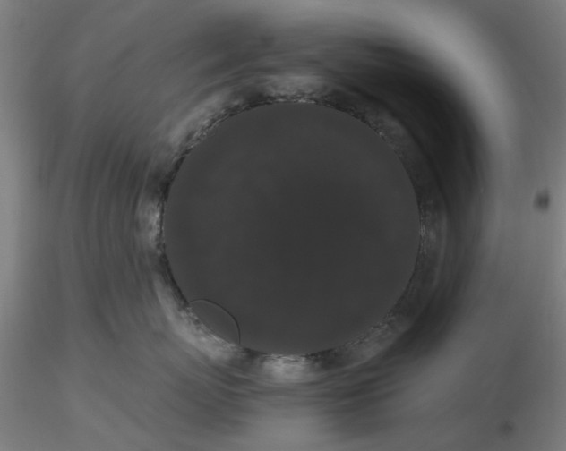 X0000116480767200912231130