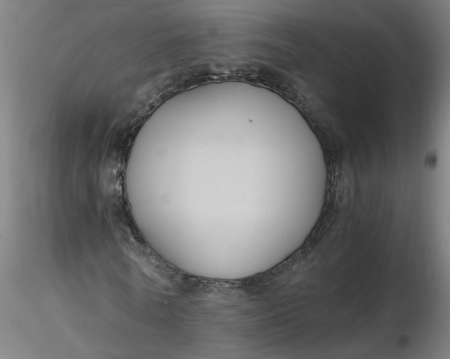 X0000116480770200912231130