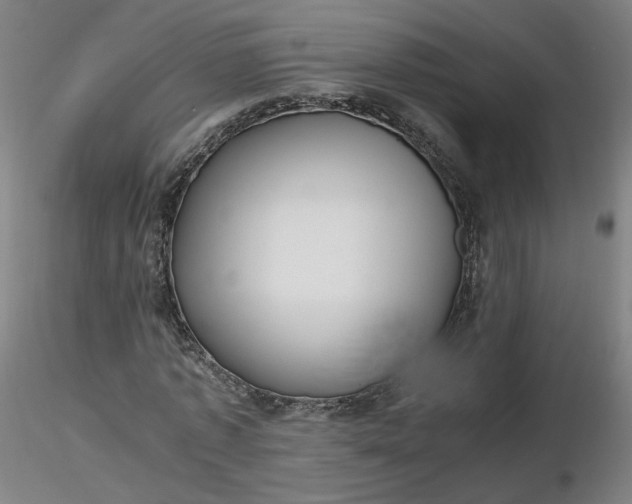 X0000116480773200912231130