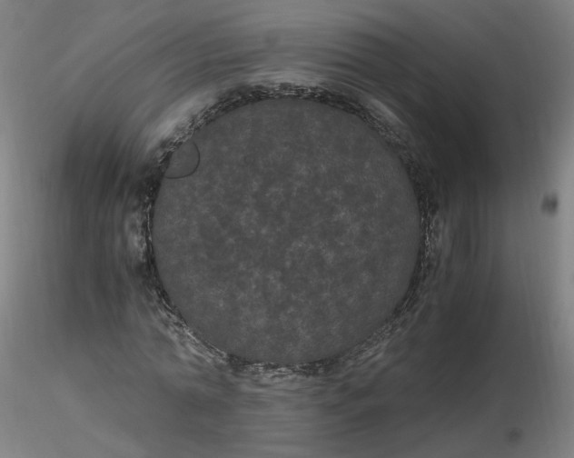 X0000116480774200912231130