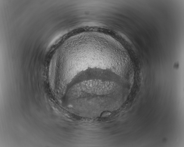 X0000116480775200912231130