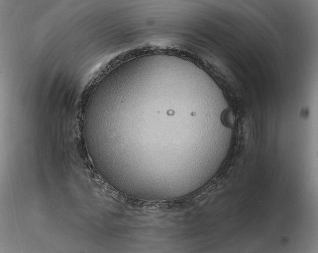 X0000116480776200912231130