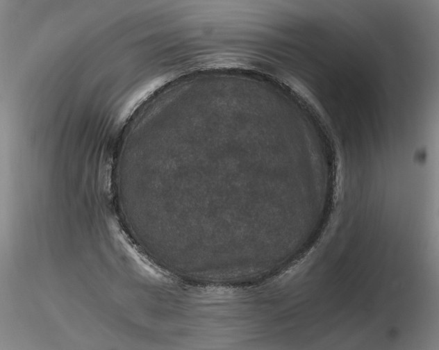 X0000116480777200912231130