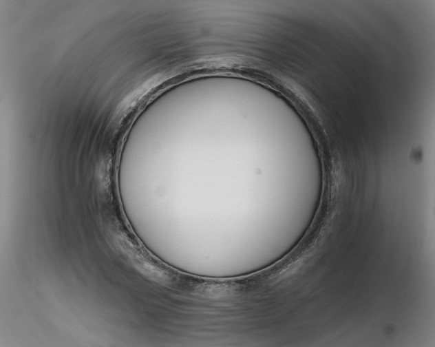 X0000116480778200912231130