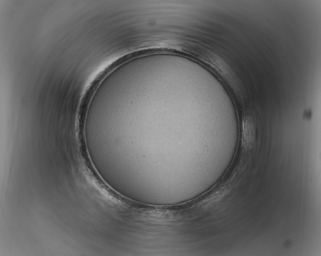 X0000116480780200912231130