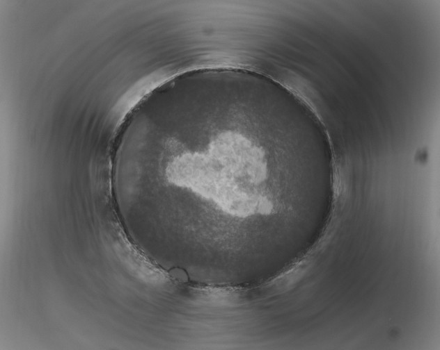 X0000116480781200912231129