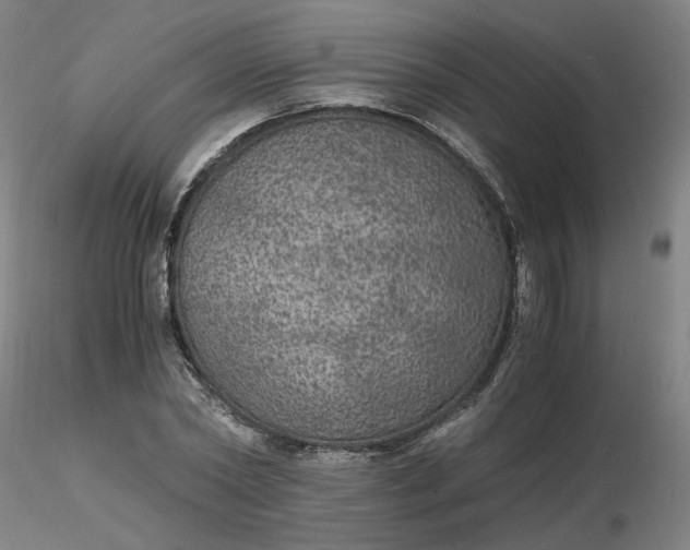 X0000116480782200912231129