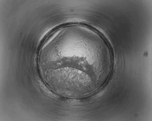 X0000116480783200912231129