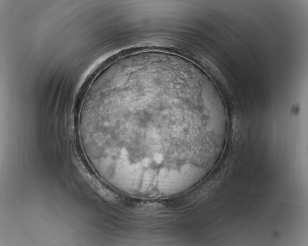 X0000116480784200912231129