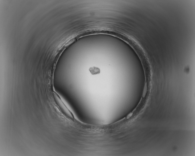 X0000116480785200912231129