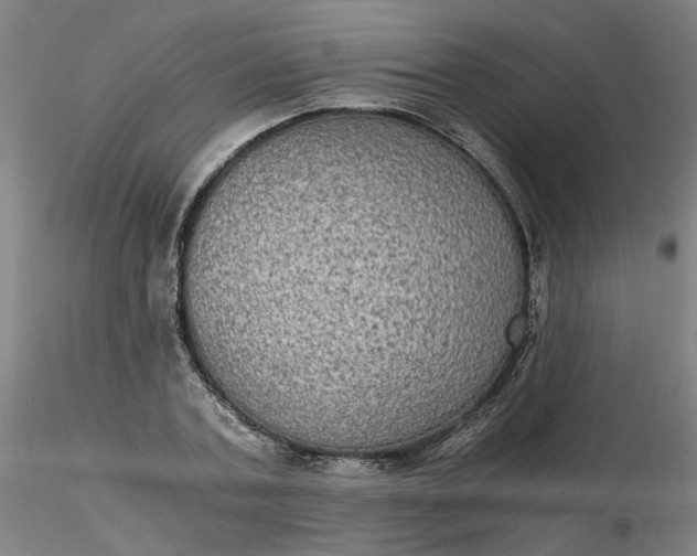 X0000116480787200912231129