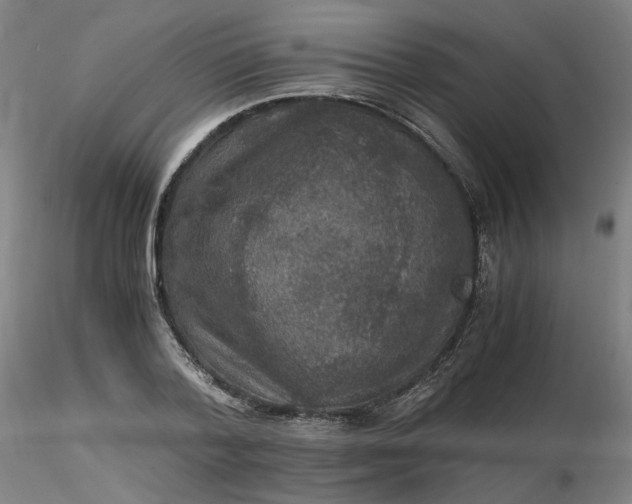 X0000116480788200912231129