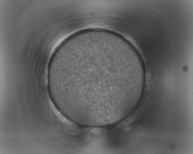 X0000116480791200912231129