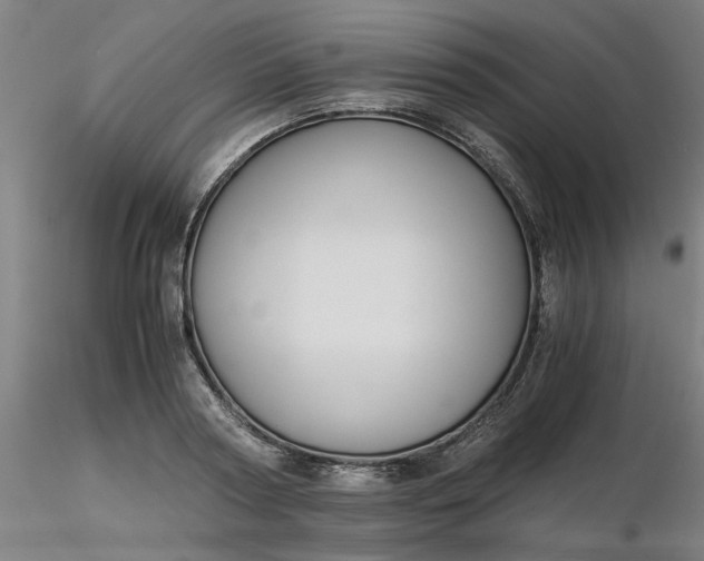 X0000116480794200912231129