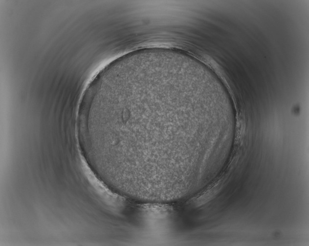 X0000116480795200912231129