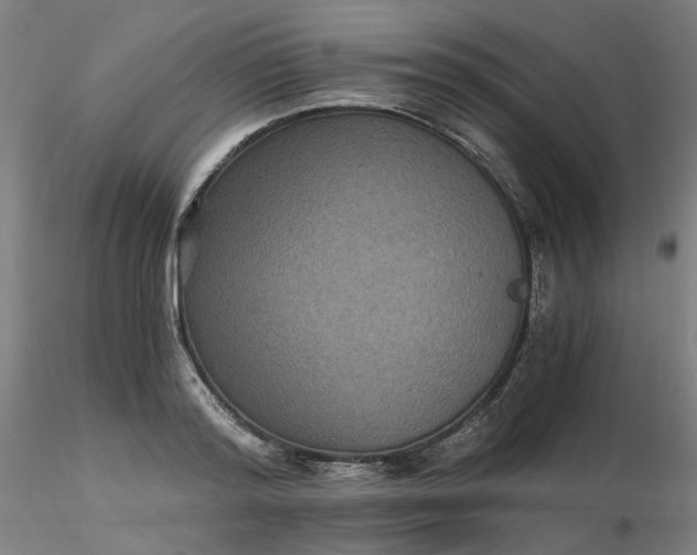 X0000116480796200912231129