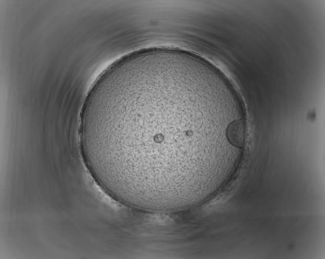 X0000116480799200912231129