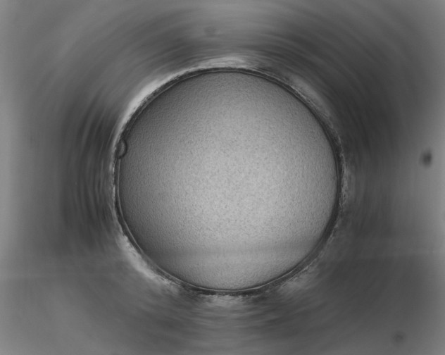 X0000116480800200912231129