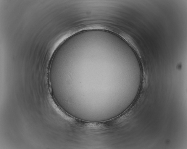 X0000116480805200912231129