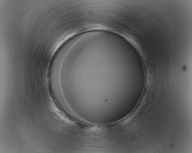 X0000116480806200912231129