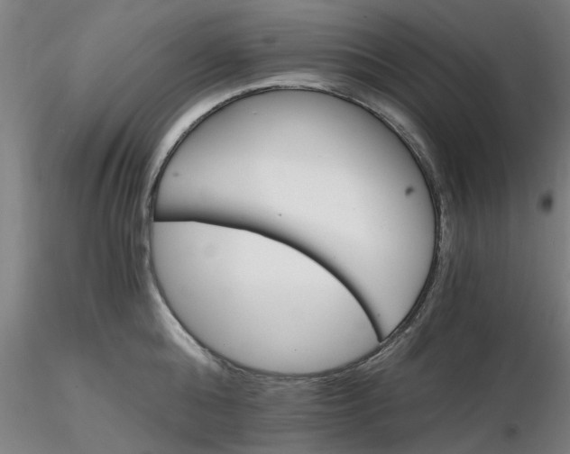 X0000116480808200912231129