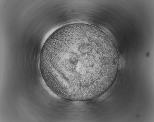 X0000116480812200912231129