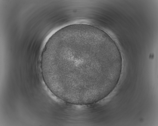 X0000116480816200912231129