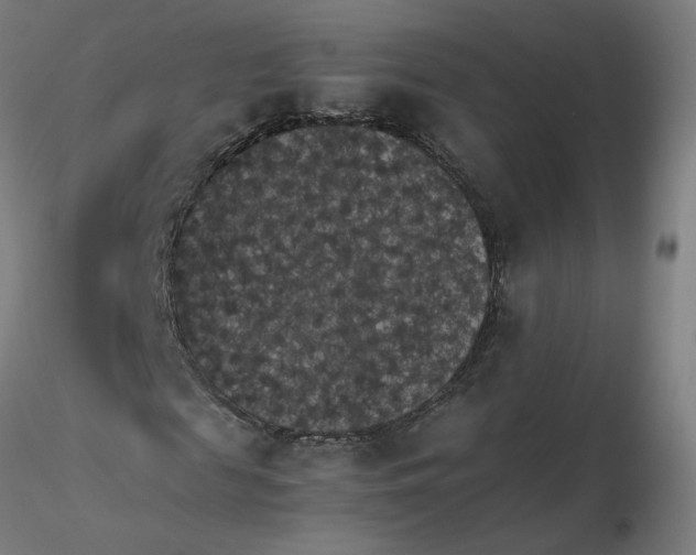 X0000116480817200912231128